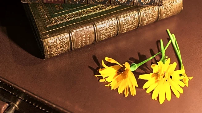 Imperial Public Library Hosts Tolkien Reading Day with Engaging Activities