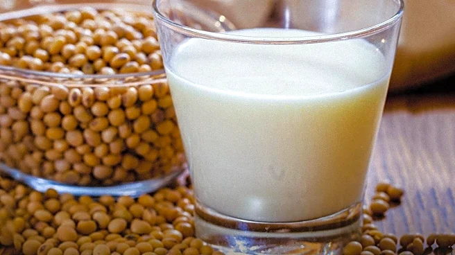 Registered Dietitian Explains How to Identify Lactose Intolerance and Manage Symptoms