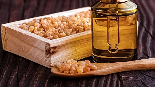 Nemat's Egyptian Musk Oil Gains Popularity Amid Fragrance Revival