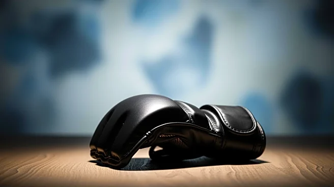 Mansur Abdul-Malik's Introspective Approach Fuels UFC Success