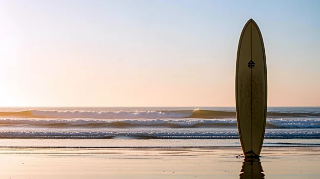 Original Cast of 'Laguna Beach' Reunites for 20th Anniversary Special on Roku