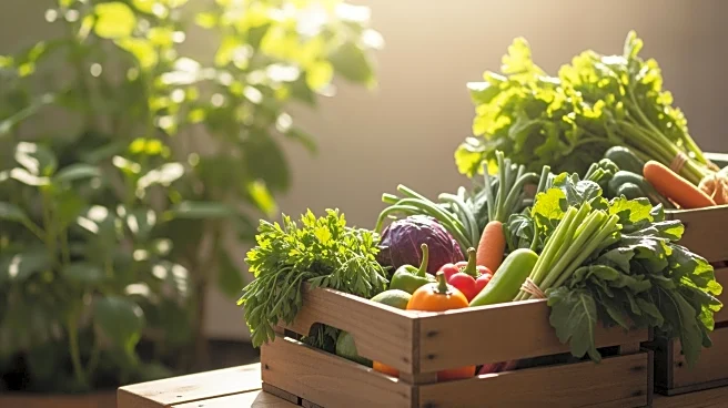 Natural Grocers Relocates Abilene Store, Enhancing Organic Offerings and Community Engagement
