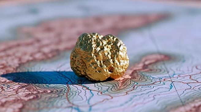 Amigo Resources Advances Gold Projects in Tanzania with Strategic Partnership