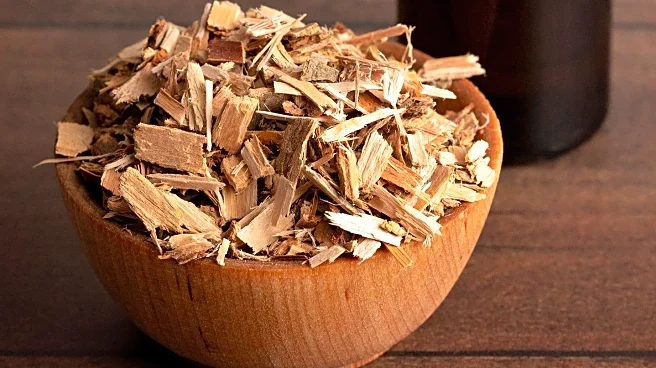 Historical Use of Soft-Rush Pith as Firestarters Explored in Country Diary