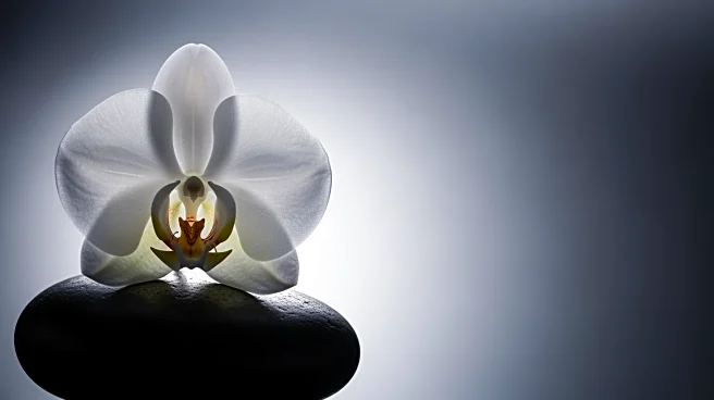 Chelley Bissainthe Faces Racism and Microaggressions During and After 'Love Island USA'