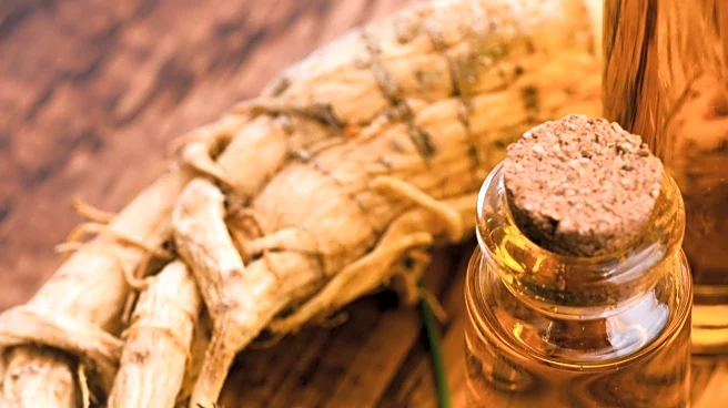 Ear Seeding: A Traditional Chinese Medicine Technique Offers Subtle Relief for Stress and Nausea