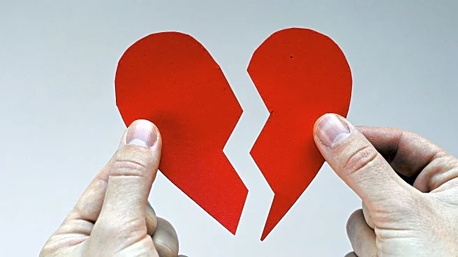 Understanding Attraction to Harmful Relationships Through Attachment Theory