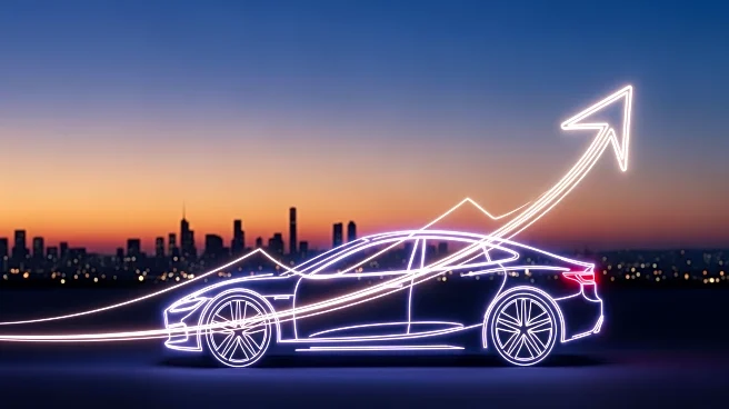 Tesla's Market Share in Israel Surges Amid Anticipated Fuel Price Hike