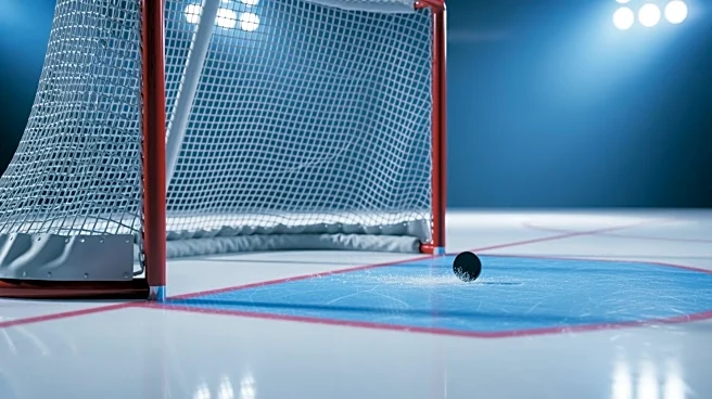 NHL Video Review Confirms No Goal for San Jose Against Columbus