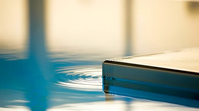 Mizzou Diver Collier Dyer Wins NCAA Championship, Sets School Record