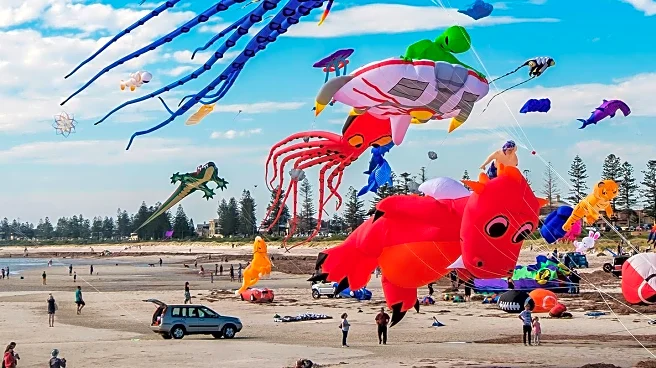Blossom Kite Festival Celebrates America's 250th Birthday with Vibrant Displays