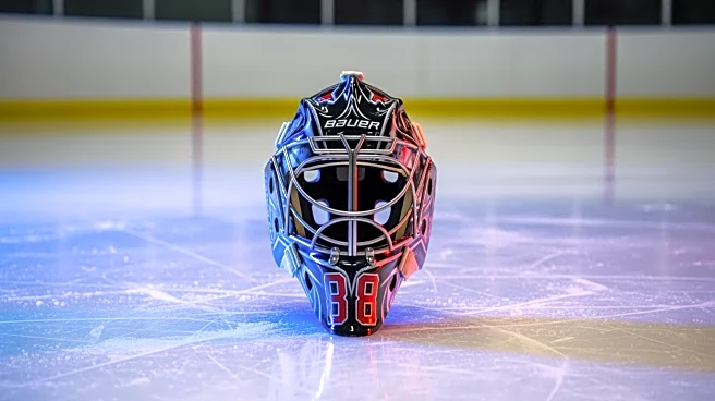 Detroit Red Wings Assign Goaltender Michal Postava to Grand Rapids Griffins