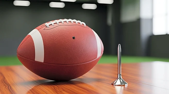 Tennessee Titans Schedule Private Workout with Top Big 10 Kicker Amid Roster Enhancements