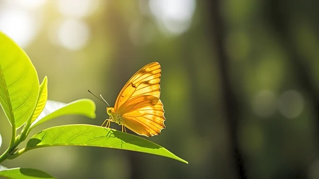 Beverley Callard Credits 'I'm A Celebrity' for Boosting Her Confidence
