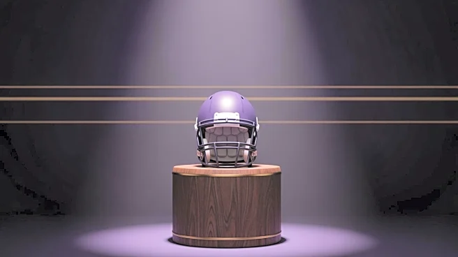 Minnesota Vikings Announce Passing of Ring of Honor Member Joey Browner at 65