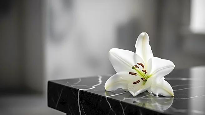 Actor and Comedian Alex Duong Dies at 42 After Battling Rare Cancer