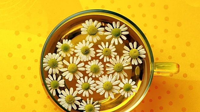 Coca-Cola's Yellow Caps Return for Passover, Sparking Consumer Interest