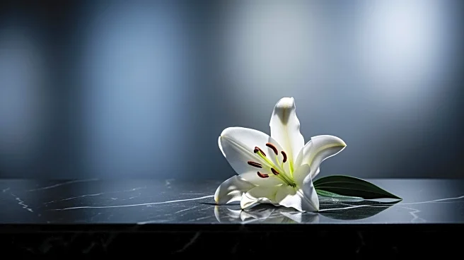 Actor and Comedian Alex Duong Dies at 42 After Rare Cancer Battle