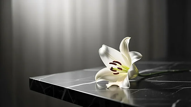 Actor and Comedian Alex Duong Dies at 42 from Rare Cancer