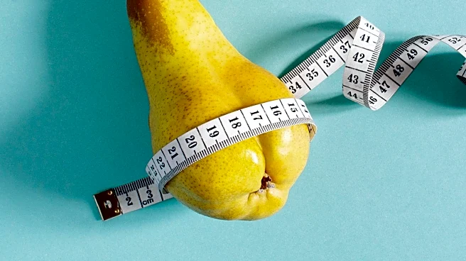 Study by American Psychological Association Finds Consistent Eating Habits Aid Weight Loss