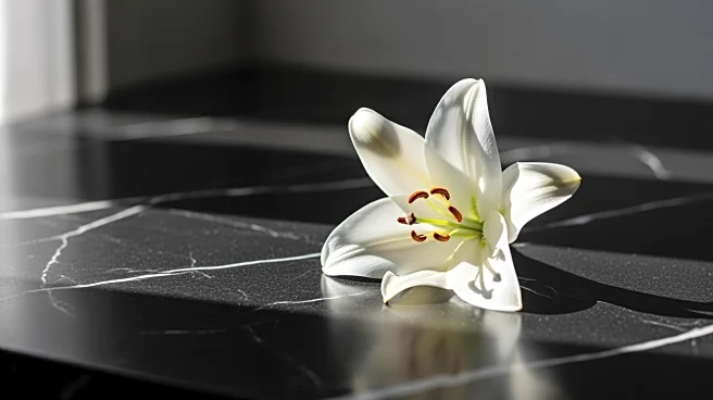 Actor Alex Duong Passes Away at 42 After Cancer Battle