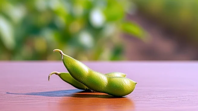 Ambienta Acquires Majority Stake in Italian Plant-Based Dairy Group The Bridge