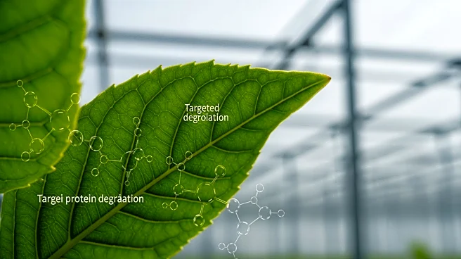 Bindbridge Innovates Crop Protection with Targeted Protein Degradation Technology