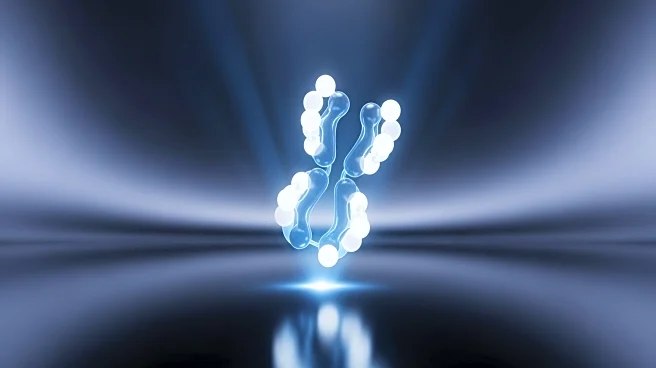 Infinimmune and Merck Collaborate to Develop Novel Human Antibody Therapeutics