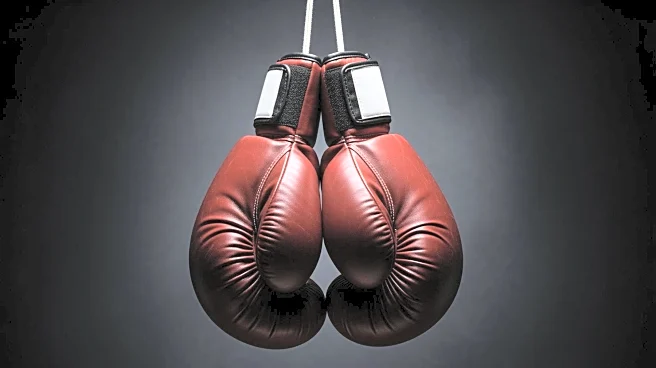 World Champion Nina Meinke Eyes Showdown with Amanda Serrano Amid Boxing Rivalries