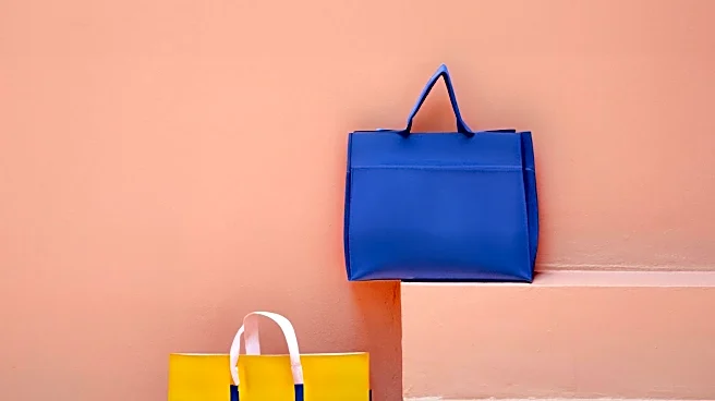 Clare V. Bags Challenge Quiet Luxury with Bold Designs