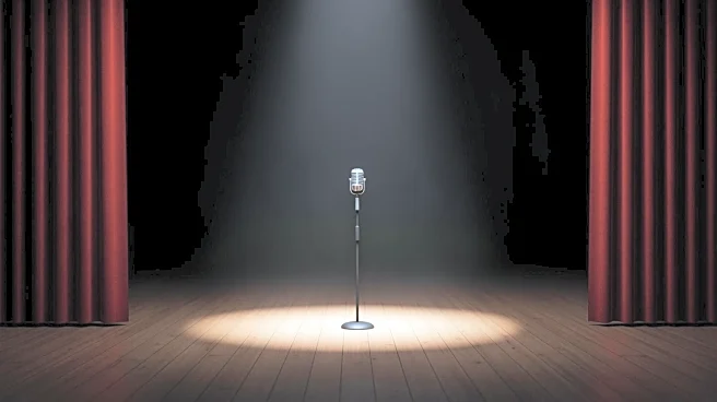 Megan Thee Stallion Hospitalized During 'Moulin Rouge!' Broadway Performance Due to Illness