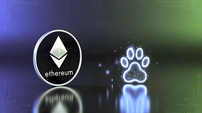 Ethereum-Based Crypto Pepeto Nears Launch Amid Dogecoin Comparisons