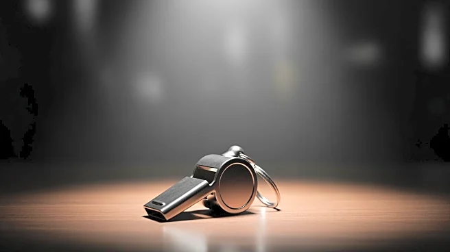 NFL Faces Discrimination Lawsuit from Former Female Referee Robin DeLorenzo