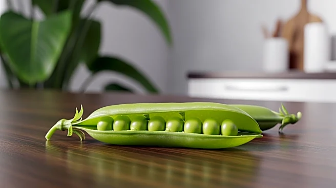 Beyond Meat Reports Decrease in Q4 Revenue Amidst Strategic Repositioning