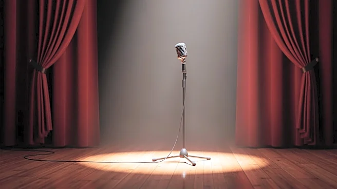 Megan Thee Stallion Hospitalized After Illness During 'Moulin Rouge!' Performance