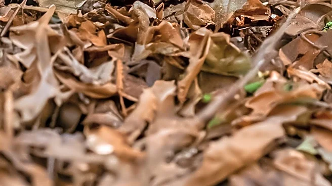 Twin Cities Students Blend Literature with Outdoor Skills in Innovative Course