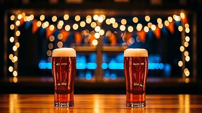 Illinois Alumni-Owned Bars Thrive Amid March Madness Excitement