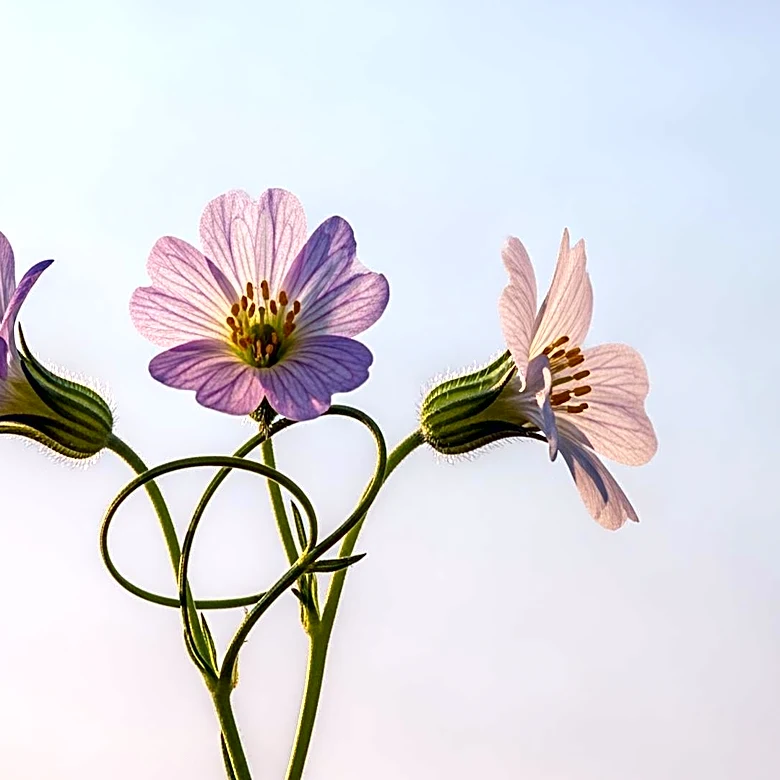 Elisabeth Moss, Kerry Washington, and Kate Mara Discuss 'Imperfect Women'