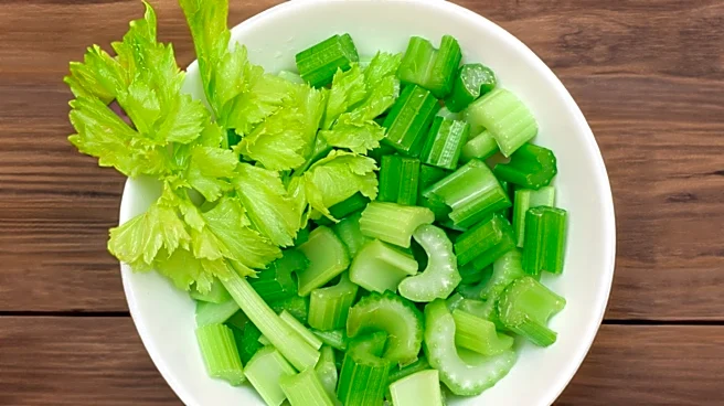 Dietitian Promotes Celery for a Healthier Spring Diet