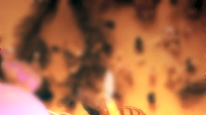 Tarot Horoscope for April 2, 2026: Insights for Each Zodiac Sign