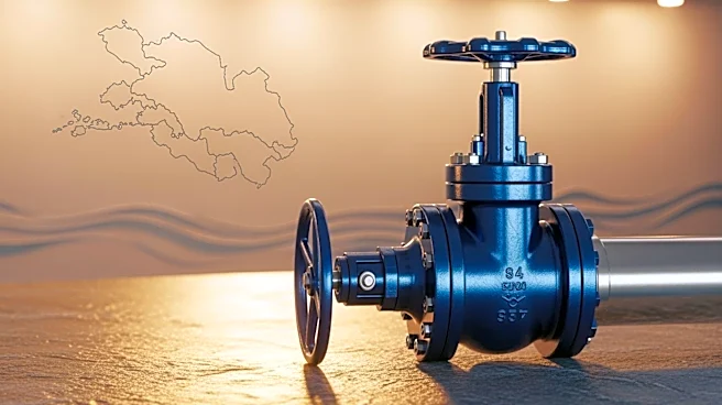 Trillion Energy Seeks Buyer for Black Sea Gas Stake, Expands Turkey Exploration