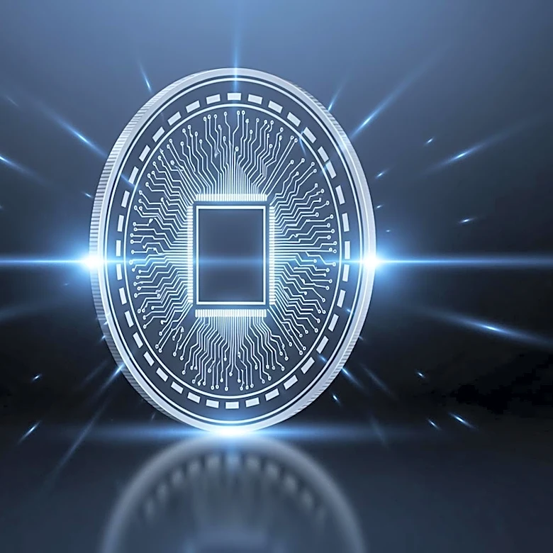 Raccoin Sells 100,000 Copies in 24 Hours, Surpassing Expectations