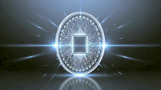 Raccoin Sells 100,000 Copies in 24 Hours, Surpassing Expectations