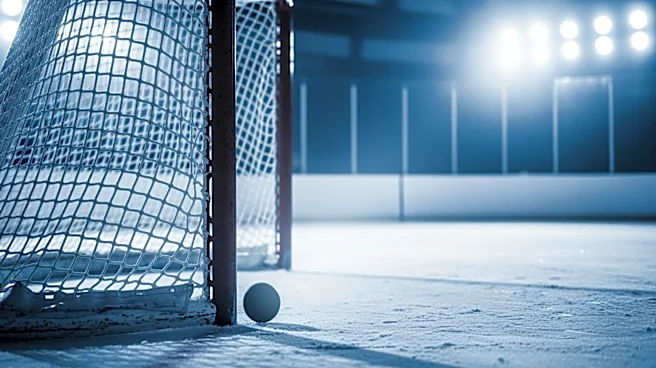 Vancouver's Coach's Challenge Fails as Colorado's Goal Stands