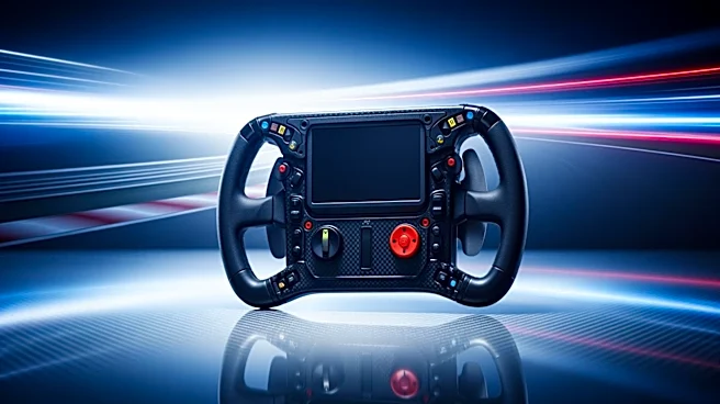 Martin Brundle Criticizes Max Verstappen's Comments on Formula 1 Future