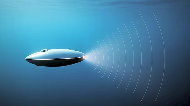 Sonardyne's Navigation Technology Enhances ecoSUB AUV Survey Operations for Njord Survey