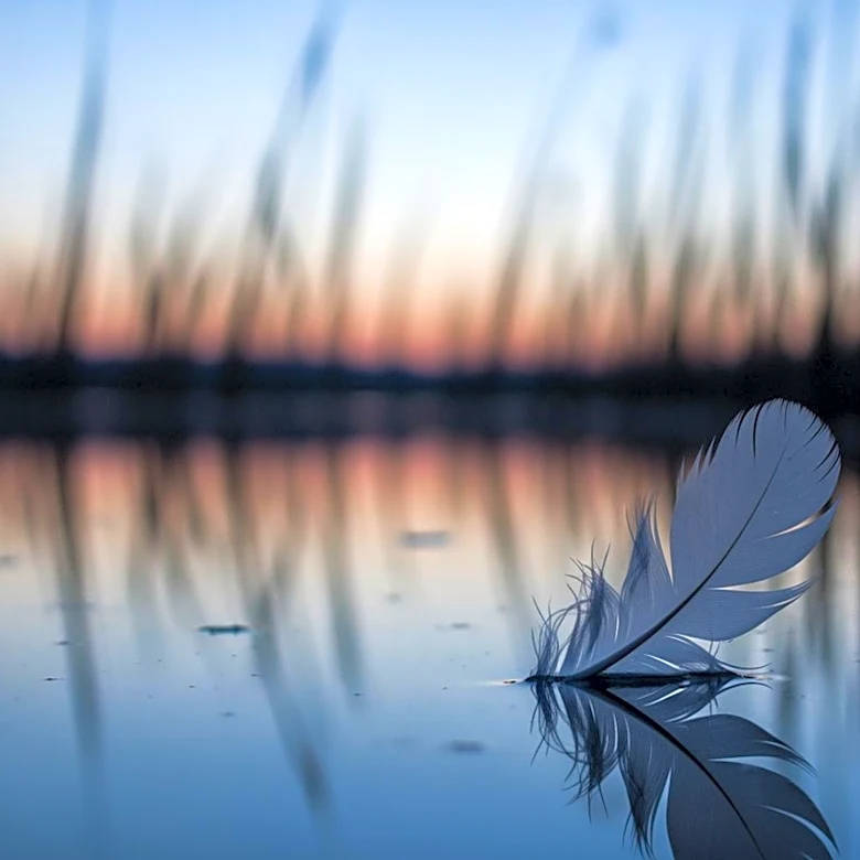 Australian Reality Star Konrad Bien-Stephen Passes Away at 35