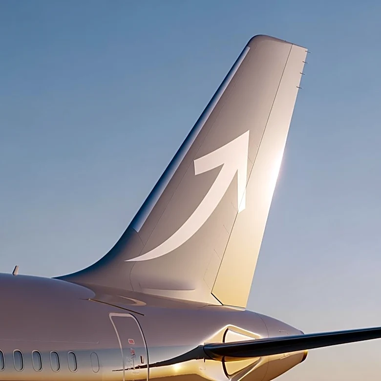 IndiGo Appoints Willie Walsh as CEO Amid Strategic Expansion Plans