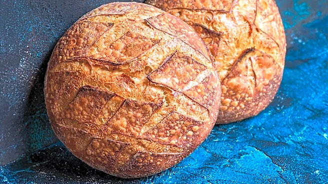 Colossus Harbor in San Pedro Offers Unique Culinary Experience with Sourdough Creations