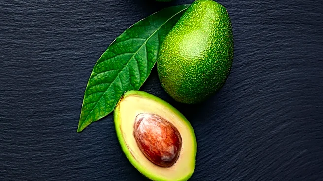 Avocado and Mango: A Heart-Healthy Superfood Duo for Daily Diets